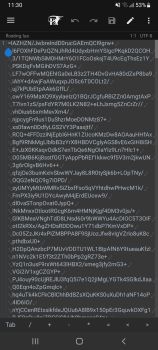 Screenshot_20230311-113009_MT Manager.jpg