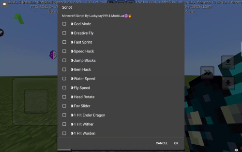 More information about "Minecraft Script"