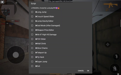 More information about "FRAGEN Script"